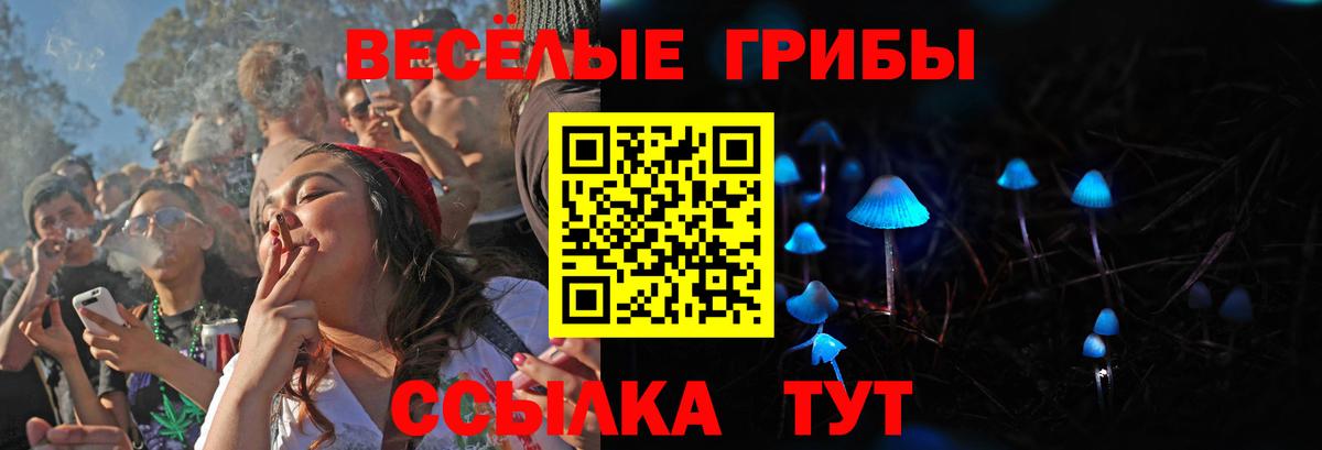 Галлюциногенные грибы Psilocybine cubensis Междуреченск